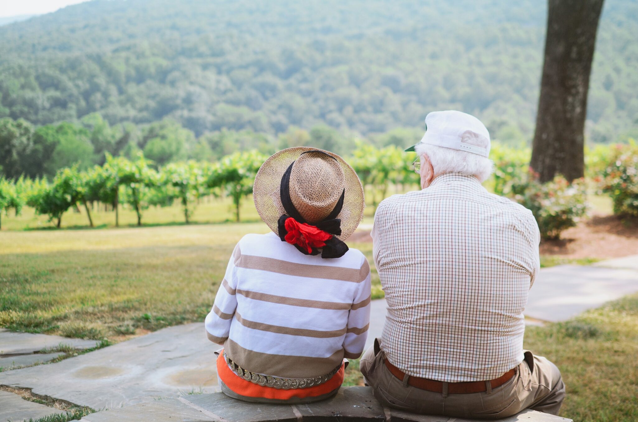 Dementia-Treatment Treatment for Dementia